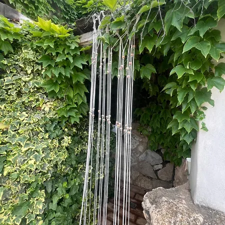 Ca Lamala بيار